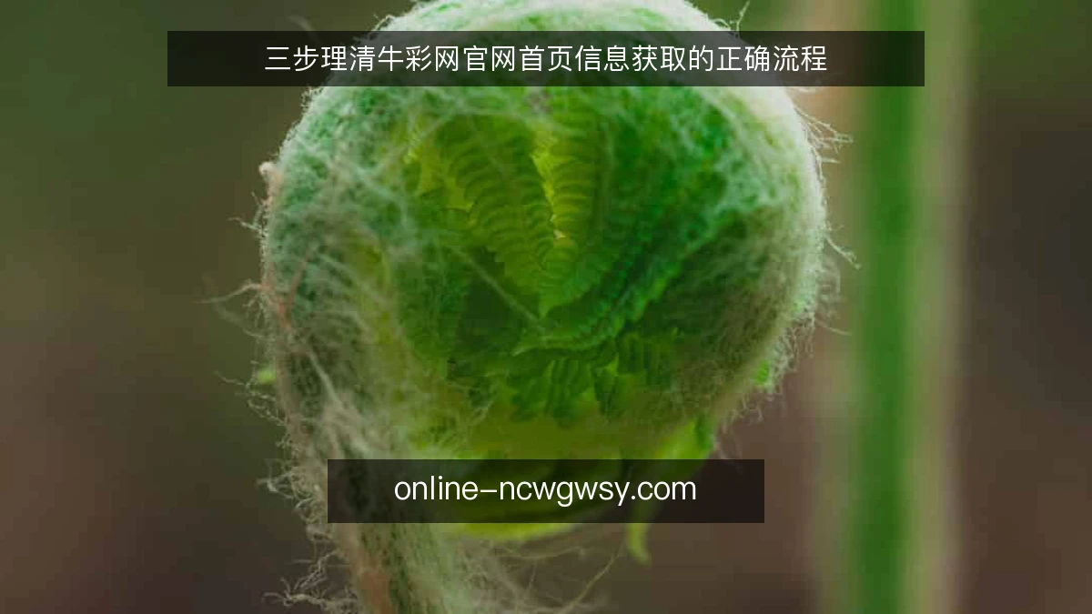 三步理清牛彩网官网首页信息获取的正确流程