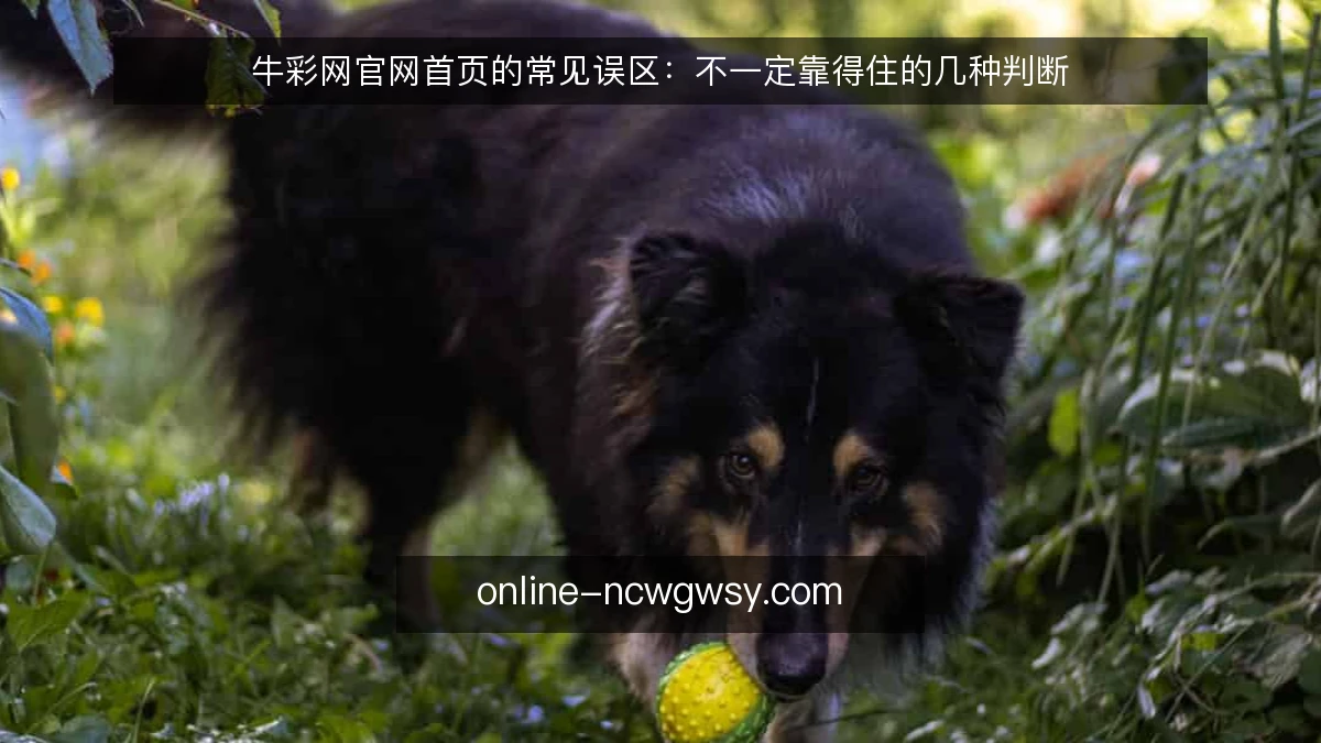 牛彩网官网首页的常见误区：不一定靠得住的几种判断